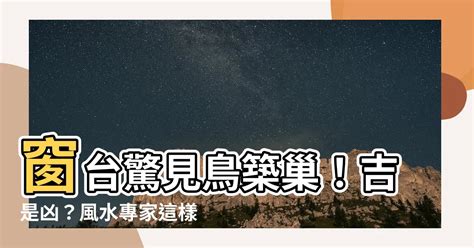 鳥在家築巢風水|【鳥在家築巢】鳥在家築巢的好處：居家風水變旺、運勢大轉!